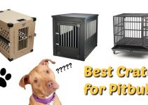 Best Crates for Pitbulls